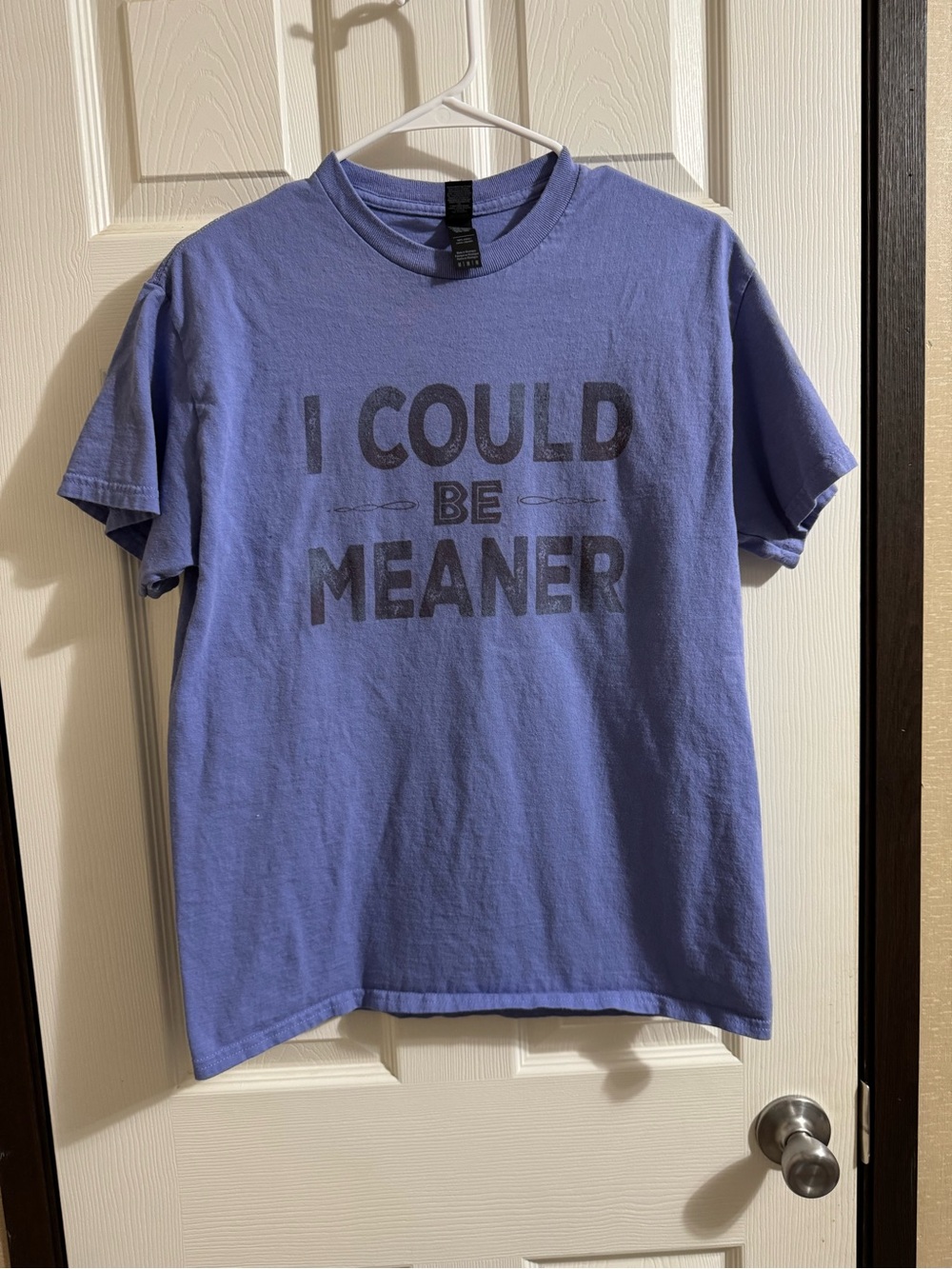 I could be meaner violet gildan t shirt